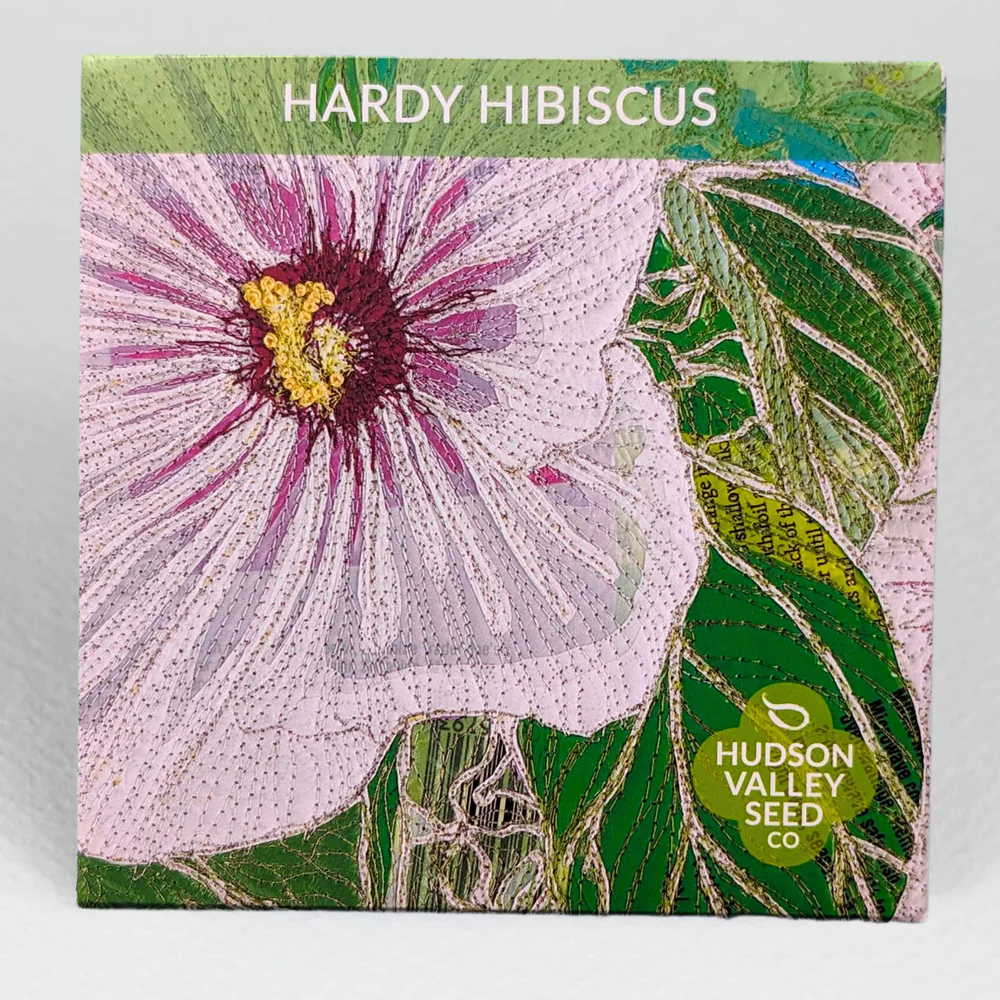 HV Hardy Hibiscus
